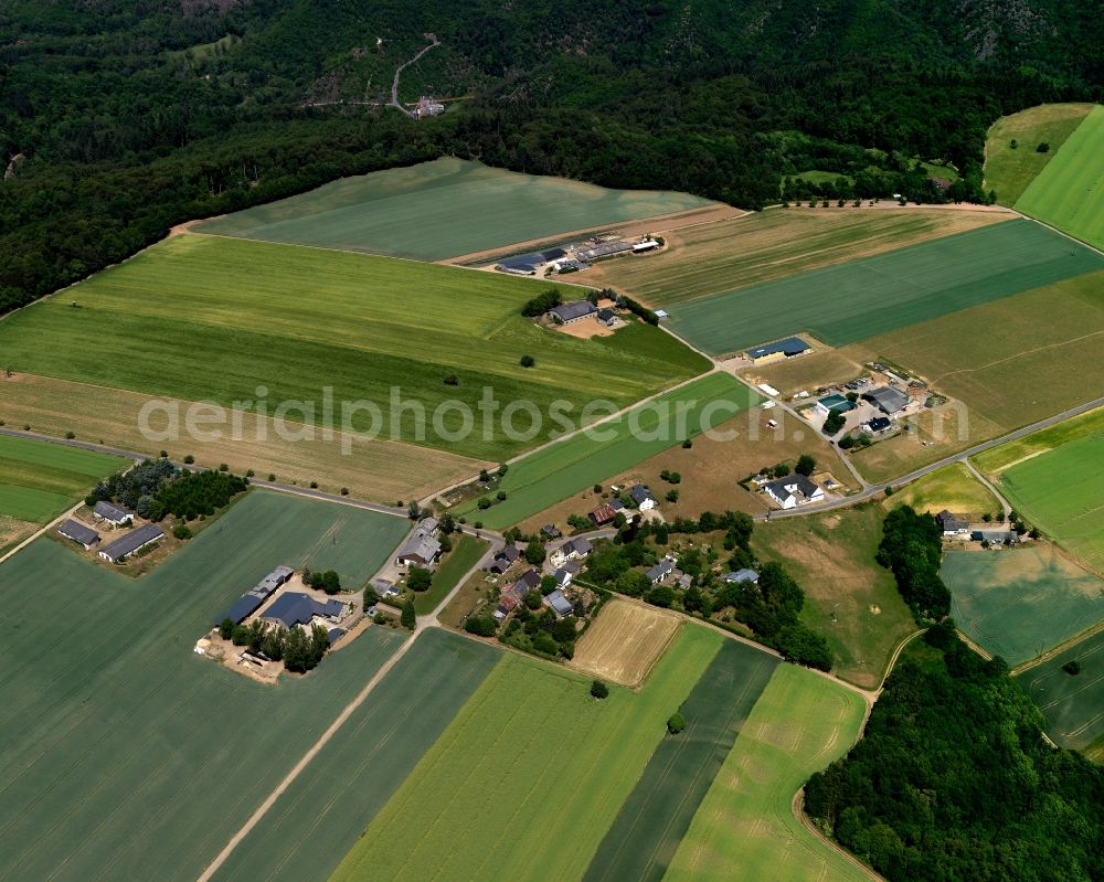 Müden (Mosel) from the bird's eye view: Village core of in Mueden (Mosel) in the state Rhineland-Palatinate