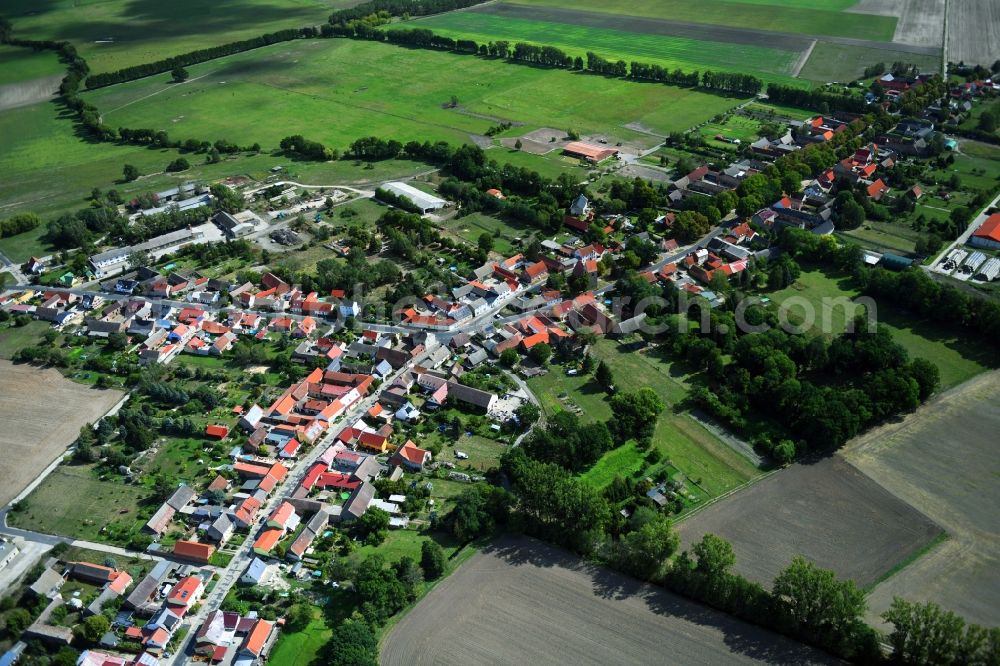 Mühlenfließ from above - Agricultural land and field borders surround the settlement area of the village in Muehlenfliess in the state Brandenburg, Germany