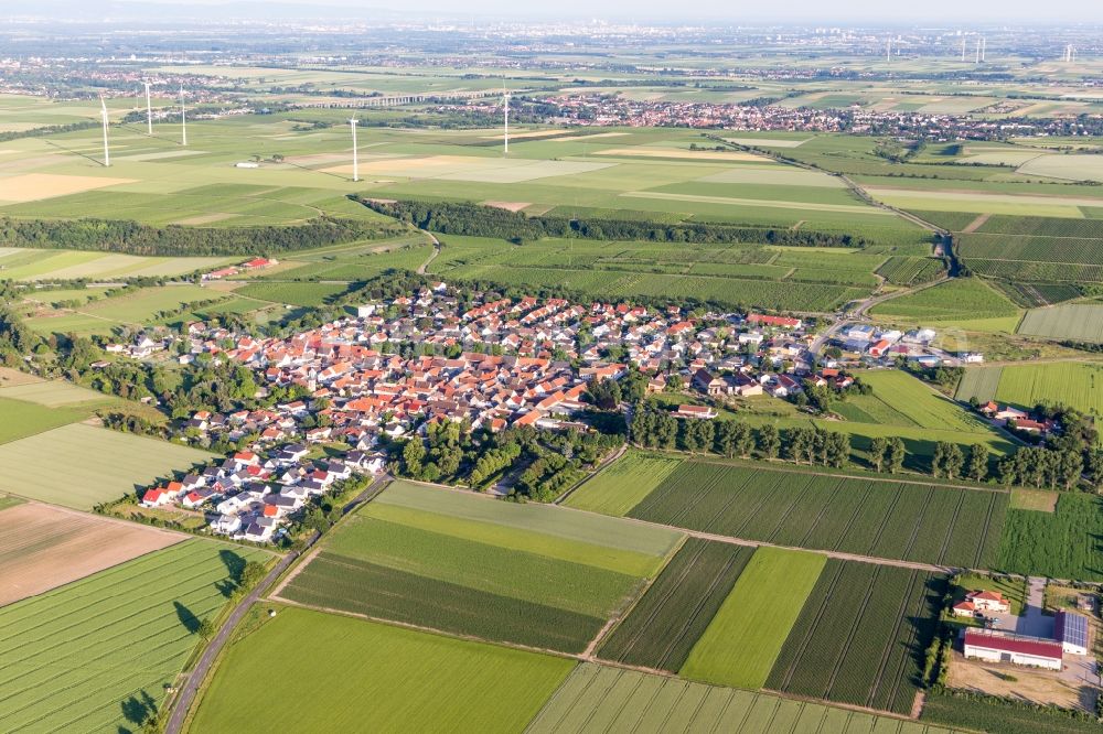 Aerial image Mörstadt - Agricultural land and field borders surround the settlement area of the village in Moerstadt in the state Rhineland-Palatinate, Germany