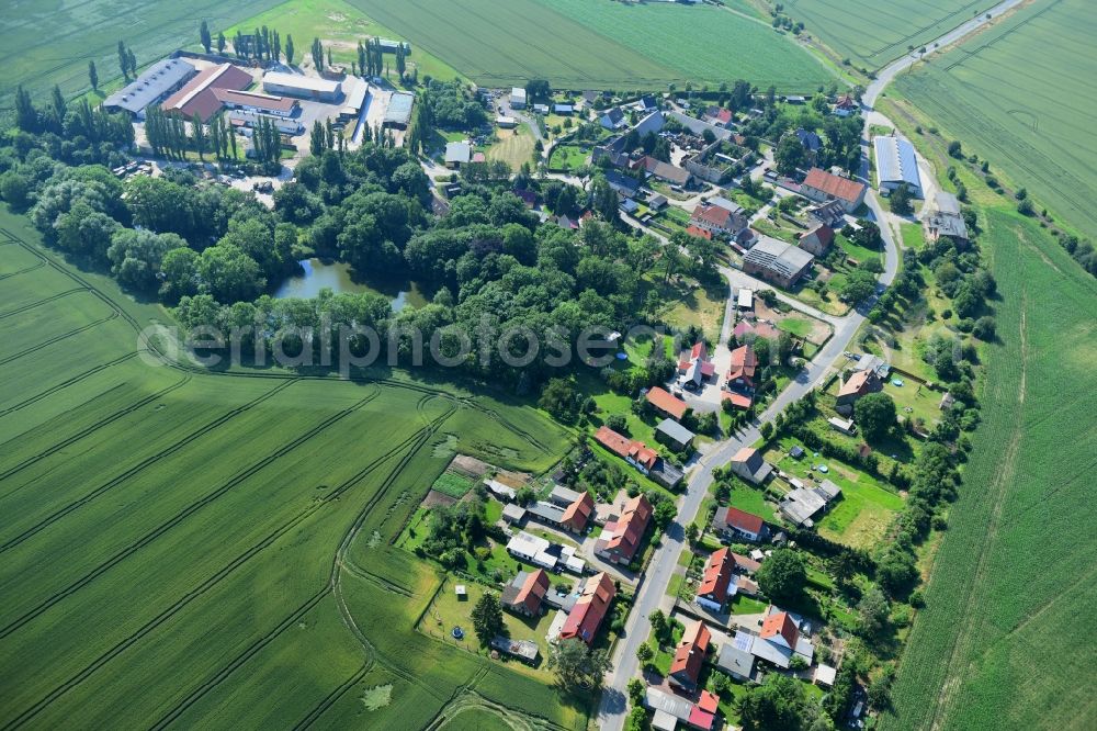 Mulmke from above - Agricultural land and field borders surround the settlement area of the village in Mulmke in the state Saxony-Anhalt, Germany