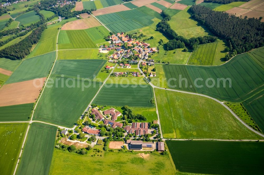 Aerial photograph Neu-Berich - Agricultural land and field borders surround the settlement area of the village in Neu-Berich in the state Hesse, Germany