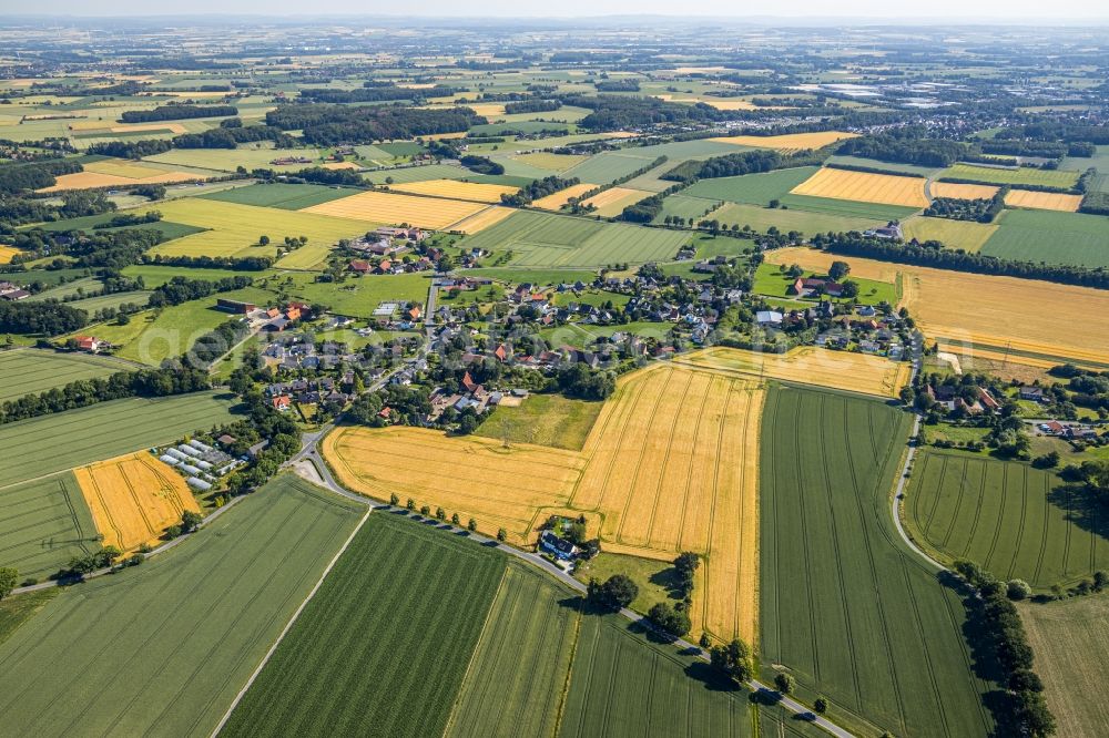 Aerial image Hamm - Agricultural land and field borders surround the settlement area of the village in the district Osttuennen in Hamm in the state North Rhine-Westphalia, Germany