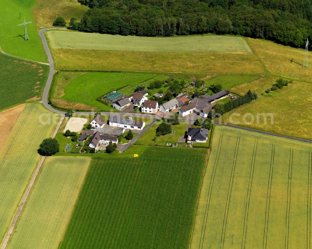 Aerial photograph Pfaffhausen, Neustadt (Wied) - Village core in Pfaffhausen, Neustadt (Wied) in the state Rhineland-Palatinate