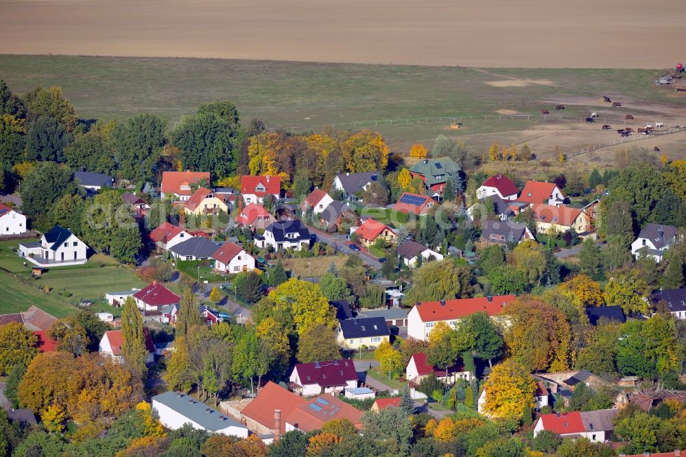 Aerial image Pietzpuhl - View of the village Pietzpuhl in Saxony-Anhalt