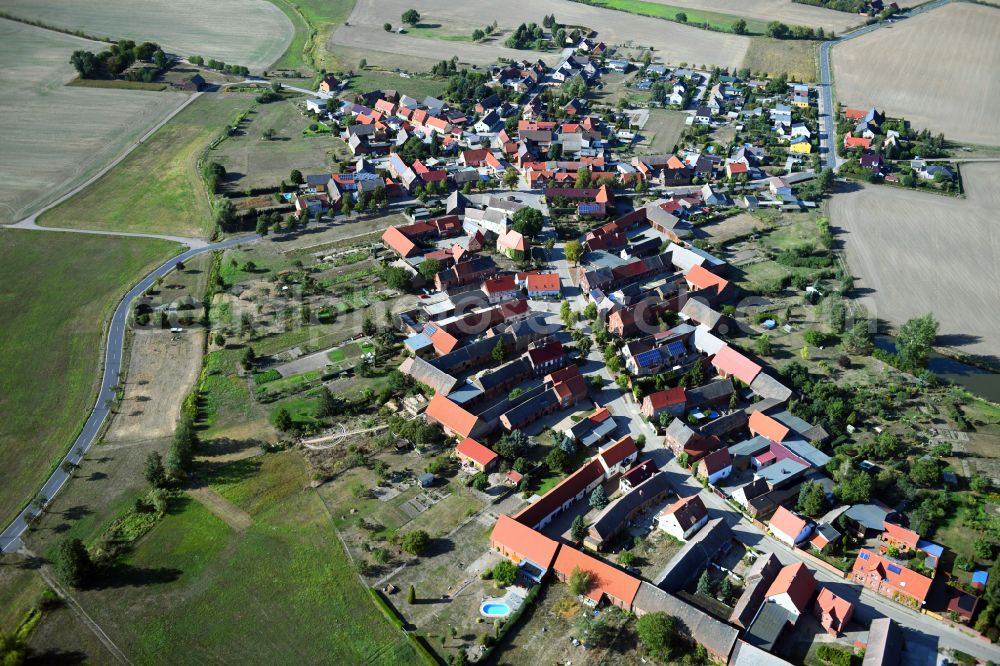 Selbitz from the bird's eye view: Agricultural land and field boundaries with the power plants surround the settlement area of the village on street Dorfstrasse in Selbitz in the state Saxony-Anhalt, Germany