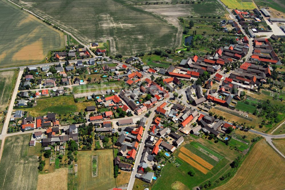 Aerial photograph Selbitz - Agricultural land and field boundaries with the power plants surround the settlement area of the village on street Dorfstrasse in Selbitz in the state Saxony-Anhalt, Germany