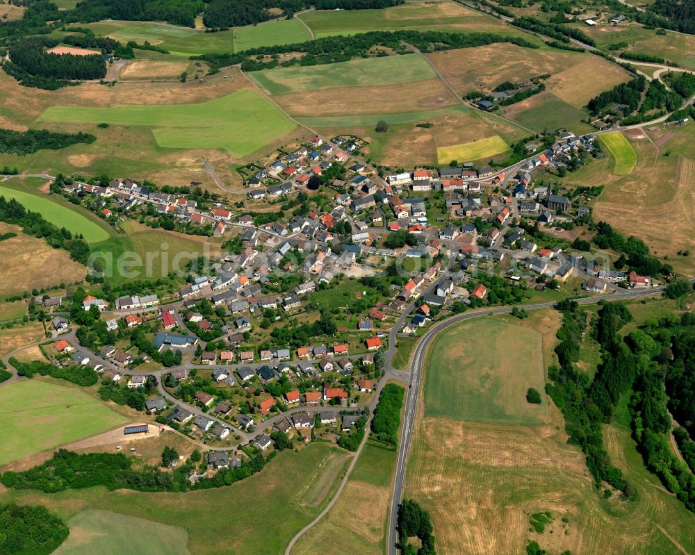 Reichenbach from the bird's eye view: Centre of Reichenbach in the state of Rhineland-Palatinate. The borough and municipiality is located on the creek of the same name in the county district of Birkenfeld, surrounded by fields and forest