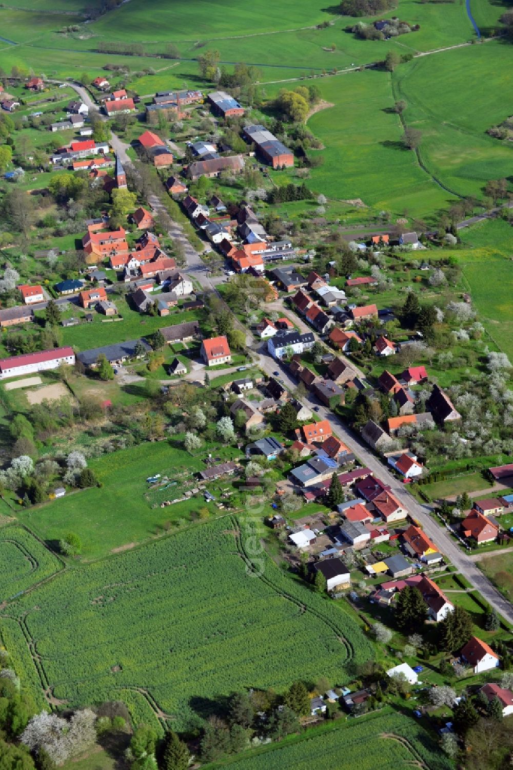 Temmen-Ringenwalde from the bird's eye view: Village core in Ringenwalde in the state Brandenburg