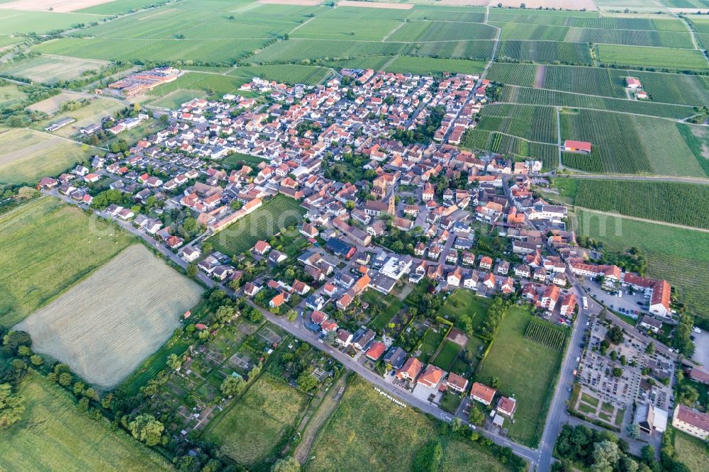 Ruppertsberg from the bird's eye view: Agricultural land and field borders surround the settlement area of the village in Ruppertsberg in the state Rhineland-Palatinate, Germany