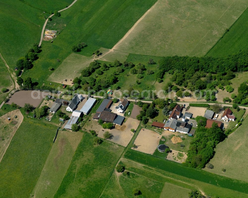 Schauren from the bird's eye view: Village core in Schauren in the state Rhineland-Palatinate