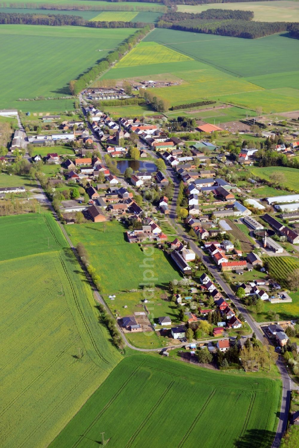 Schönfeld from the bird's eye view: Village core in Schoenfeld in the state Brandenburg