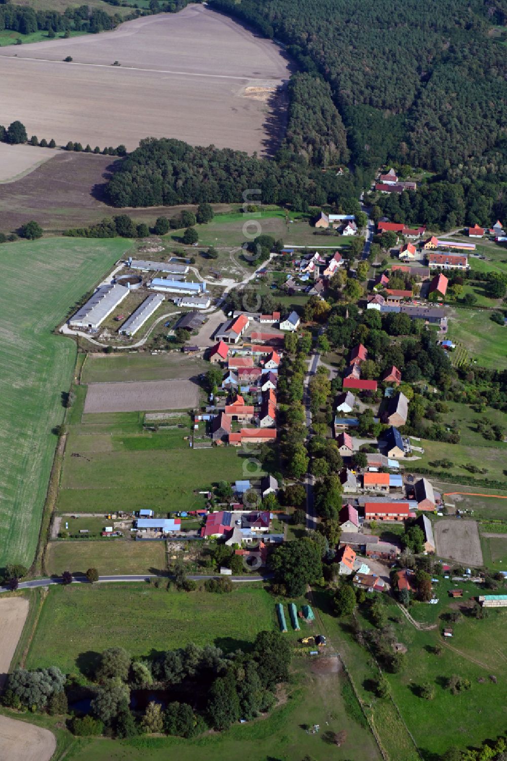 Seebeck from the bird's eye view: Village center on the lake shore areas of the Vielitzsee in Seebeck in the state Brandenburg, Germany