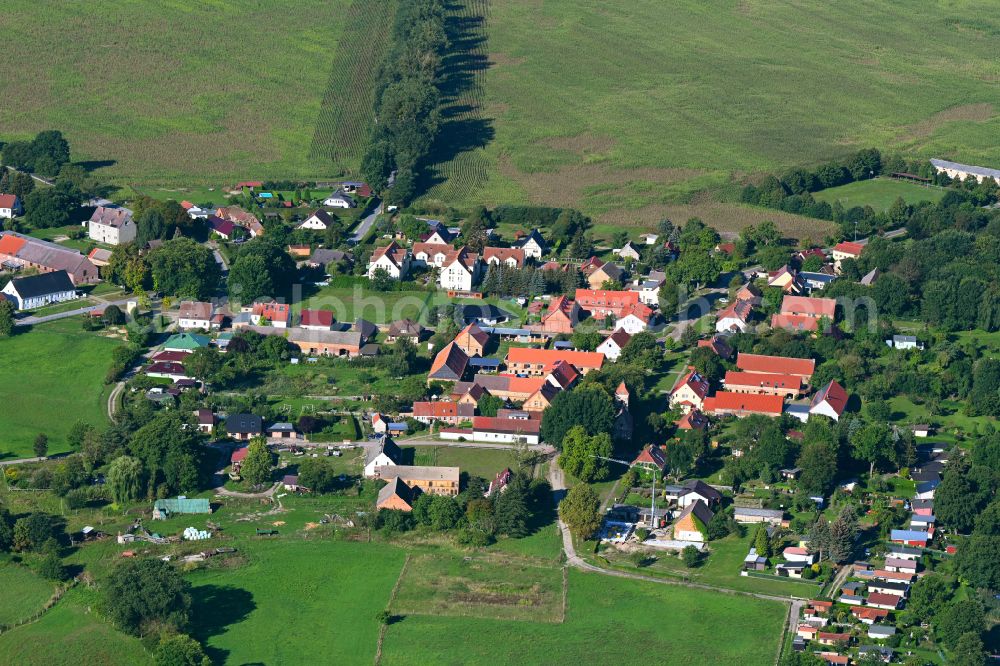 Vielitz from above - Village on the lake bank areas of Vielitzsee in Vielitz in the state Brandenburg, Germany