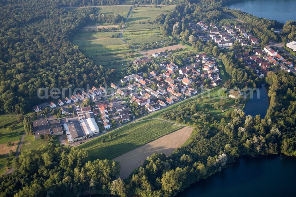 Lichtenau from above - Village on the lake bank areas of lake for gravel mining near the river Rhine in the district Grauelsbaum in Lichtenau in the state Baden-Wuerttemberg, Germany