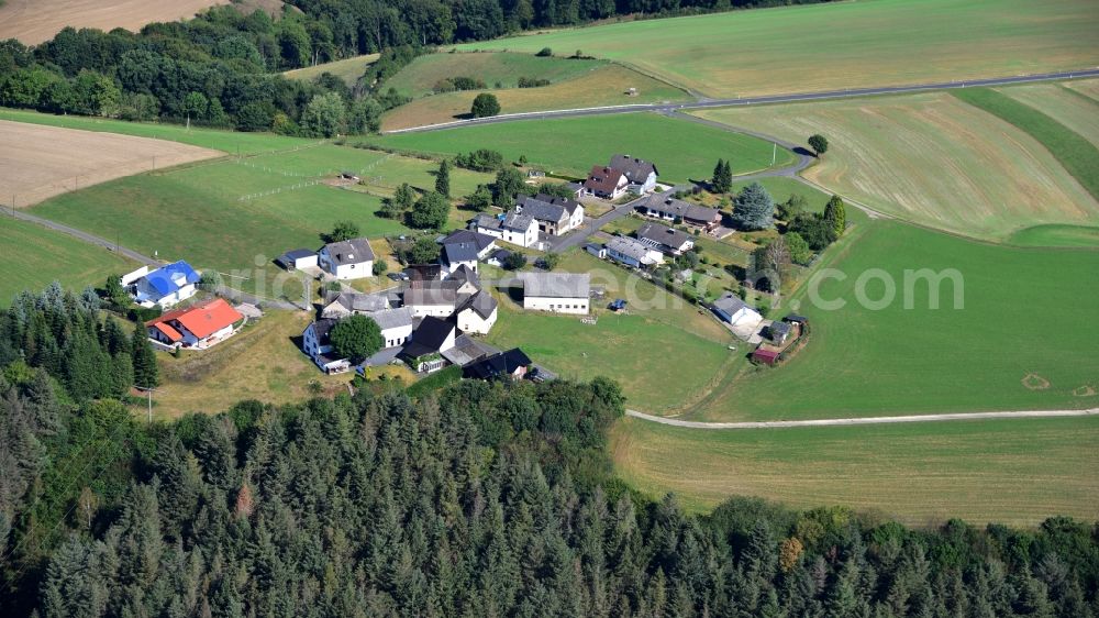 Spreitchen from above - Agricultural land and field borders surround the settlement area of the village in Spreitchen in the state Rhineland-Palatinate, Germany