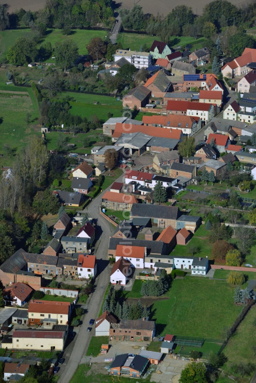 Aerial photograph Trebnitz - Village center Trebnitz in Saxony-Anhalt