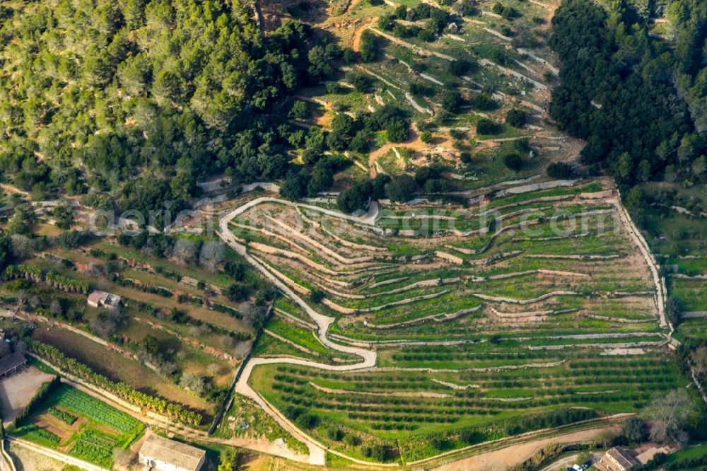 Valldemossa from above - Agricultural land and field borders surround the settlement area of the village in Valldemossa in Balearic island of Mallorca, Spain