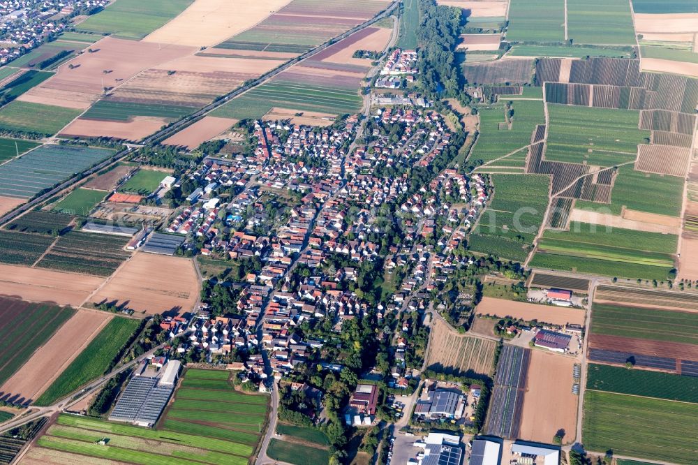 Aerial photograph Weingarten (Pfalz) - Agricultural land and field borders surround the settlement area of the village in Weingarten (Pfalz) in the state Rhineland-Palatinate, Germany