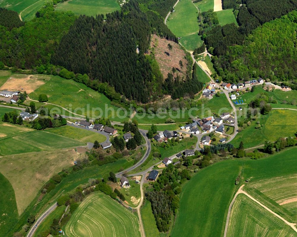 Aerial photograph Welschenbach - Village core of in Welschenbach in the state Rhineland-Palatinate