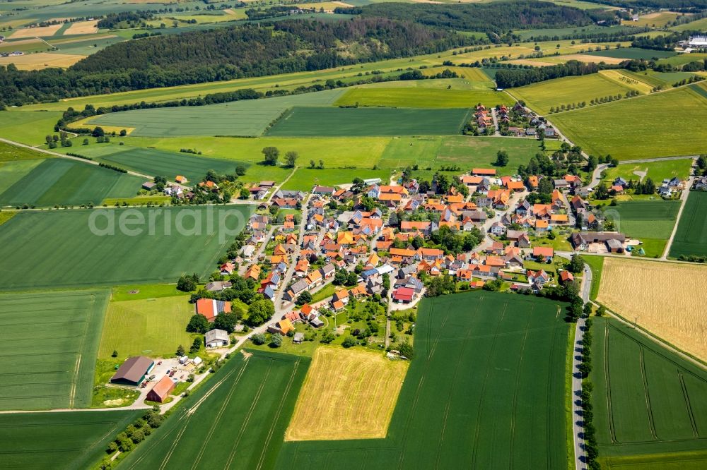 Aerial photograph Wethen - Agricultural land and field borders surround the settlement area of the village in Wethen in the state Hesse, Germany