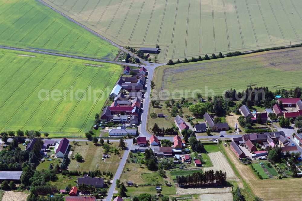 Aerial photograph Zallmsdorf - Agricultural land and field borders surround the settlement area of the village in Zallmsdorf in the state Saxony-Anhalt, Germany