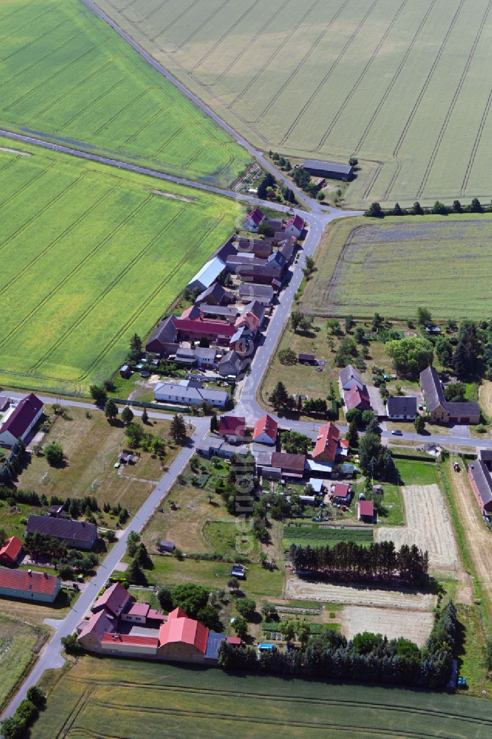 Zallmsdorf from above - Agricultural land and field borders surround the settlement area of the village in Zallmsdorf in the state Saxony-Anhalt, Germany