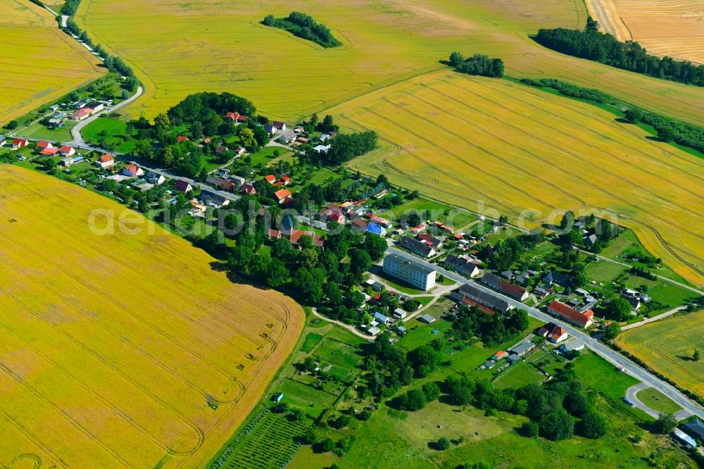 Aerial photograph Zettemin - Agricultural land and field borders surround the settlement area of the village in Zettemin in the state Mecklenburg - Western Pomerania, Germany