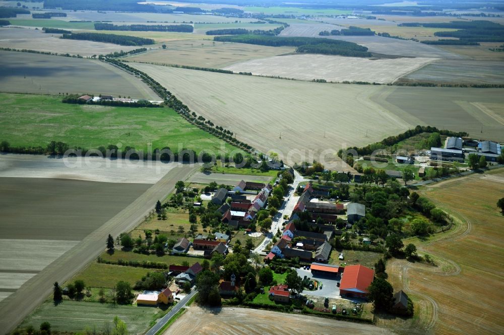 Aerial photograph Zixdorf - Agricultural land and field borders surround the settlement area of the village in Zixdorf in the state Brandenburg, Germany