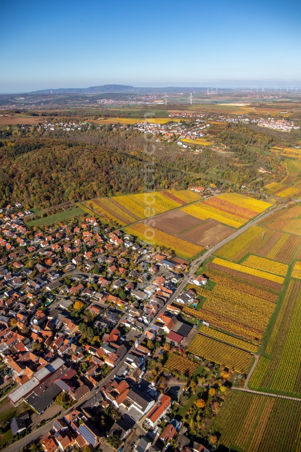 Aerial image Bobenheim am Berg - Village on the edge of vineyards and wineries in the wine-growing area in Bobenheim am Berg in the state Rhineland-Palatinate, Germany