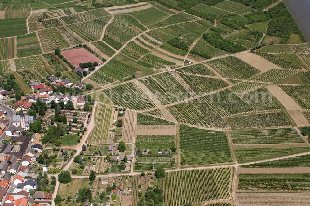 Aerial image Dromersheim - Blick auf die Ortsgemeinde Dromersheim im Landkreis Mainz-Bingen in Rheinland-Pfalz, mit der katholischen Pfarrerkirche St. Peter und Paul und dem Sportplatz Ockenheim. View to the village Dromersheim in the administrative district Mainz-Bingen.