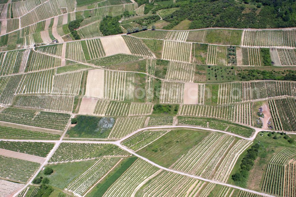 Aerial photograph Dromersheim - Blick auf landwirtschaftliche Nutzfläche von der Ortsgemeinde Dromersheim im Landkreis Mainz-Bingen in Rheinland-Pfalz. View to agriculture productive land of Dromersheim.