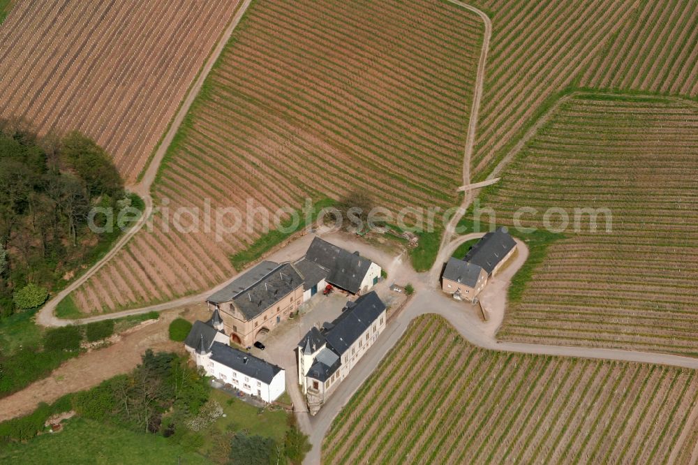 Aerial image Trier - Duisburger Hof estate in the district of Ruwer in Trier in the state of Rhineland-Palatinate. The estate is one of the sites of the archive of the diocese of Trier and is owned by the diocese wine-growing estates of Trier. It is located in the North of the town, surrounded by fields and vineyards