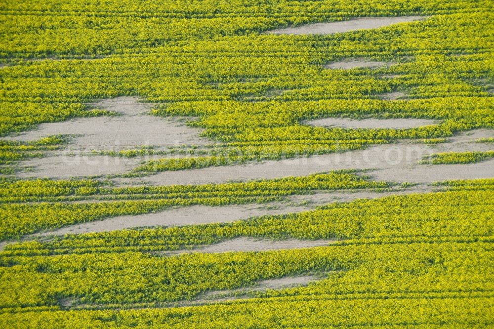 Aerial image Pretzier - Soil erosion and drought structures on agricultural rape fields in Pretzier, Saxony-Anhalt, Germany