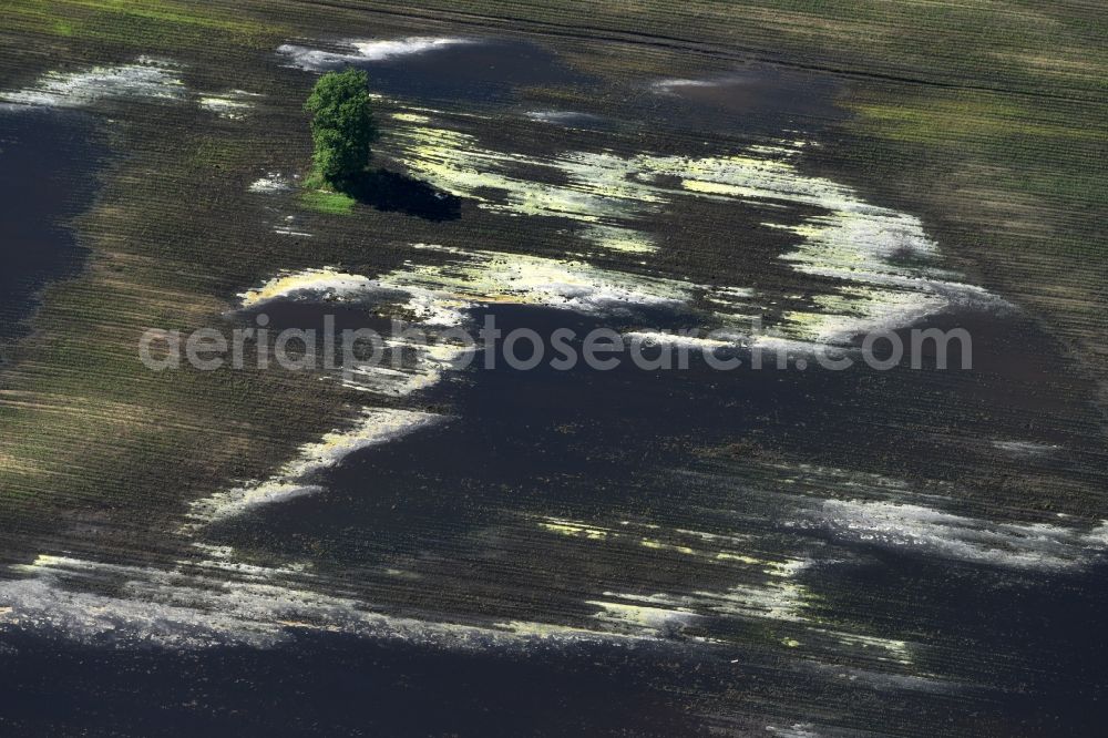 Aerial photograph Brück - Agricultural fields embossed of soil erosion and water structures in Brueck in the state Brandenburg