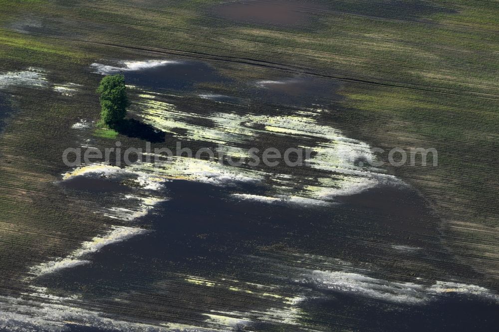 Brück from above - Agricultural fields embossed of soil erosion and water structures in Brueck in the state Brandenburg