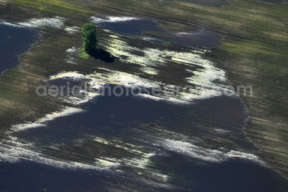 Aerial photograph Brück - Agricultural fields embossed of soil erosion and water structures in Brueck in the state Brandenburg