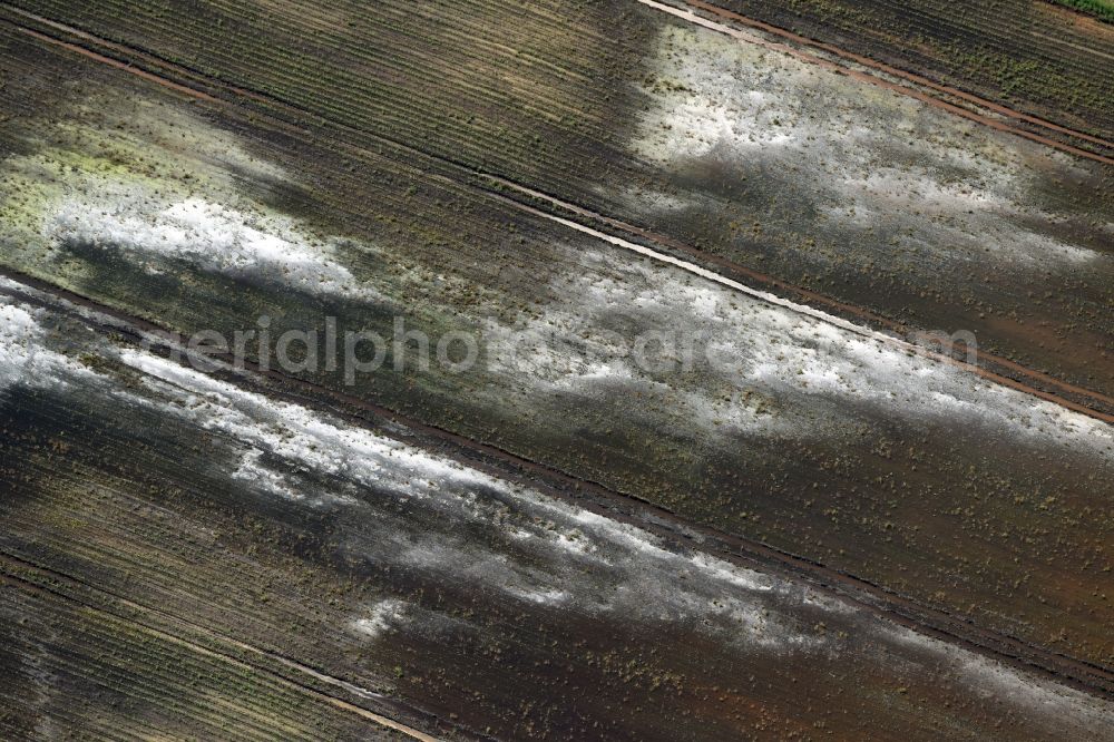 Brück from above - Agricultural fields embossed of soil erosion and water structures in Brueck in the state Brandenburg