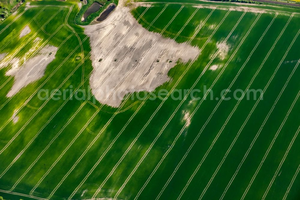 Großenbrode from the bird's eye view: Agricultural fields embossed of soil erosion and water structures in Grossenbrode in the state Schleswig-Holstein, Germany