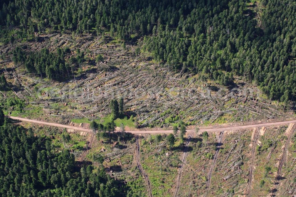 Bonndorf im Schwarzwald from above - A trail of destruction leaves a tornado in May 2015 in the forest area in bonndorf in Baden - Wuerttemberg. Thousands cubic meters of wood have to be worked