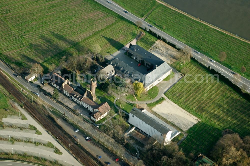 Oestrich-Winkel from the bird's eye view: View of the campus landscape and fields. Bank of the Rhine lying EBS European Business School in Oestrich-Winkel in Hesse