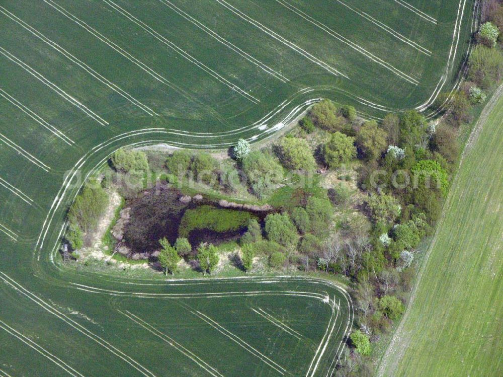 Eggersdorf bei Müncheberg from above - Eggersdorf bei Müncheberg: Rapsblüte und Felder bei Eggersdorf in Müncheberg