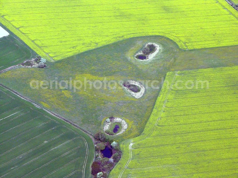 Aerial image Eggersdorf bei Müncheberg - Eggersdorf bei Müncheberg: Rapsblüte und Felder bei Eggersdorf in Müncheberg