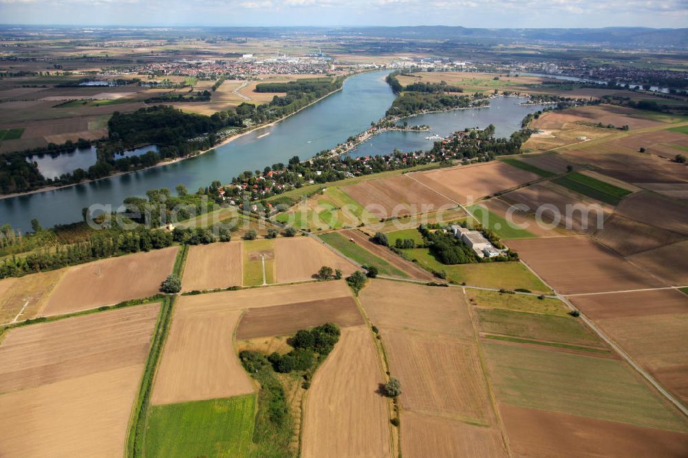 Eich from above - Blick auf den Eicher See der gleichnamigen Ortsgemeinde Eich im Landkreis Alzey-Worms in Rheinland-Pfalz. Der Eicher See ist ein zu Eich gehörender Baggersee mit Zugang zum Rhein. Er wird auch „Rheinhessisches Meer“ genannt, weil er der größte See in Rheinhessen ist. View to the lake Eicher See of the village Eich in the administrative district Azley-Worms in Rhineland-Palatinate.