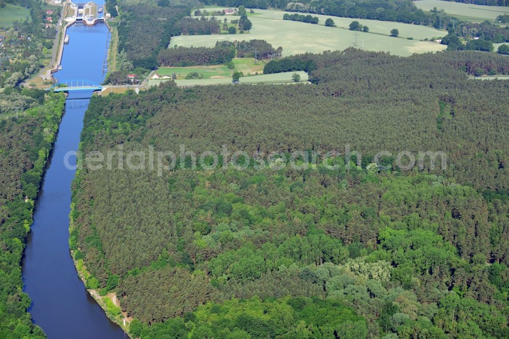 Bensdorf from the bird's eye view: Creation of habitat for the sand lizard in Bensdorf in the state Brandenburg