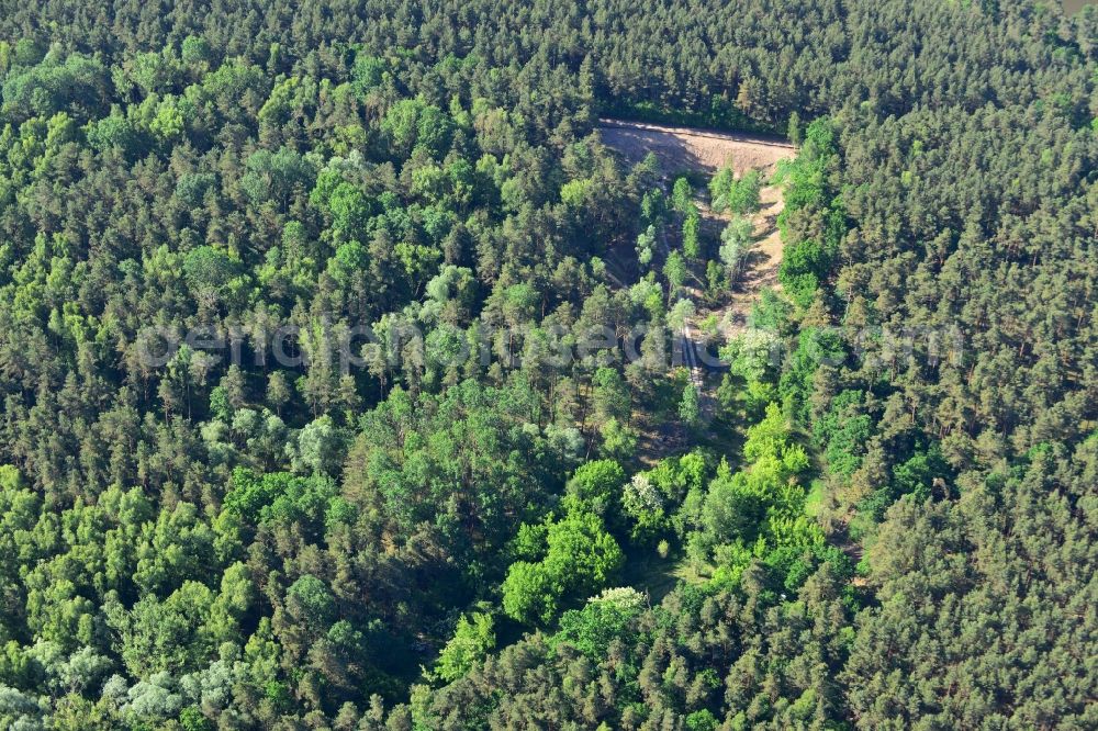 Aerial image Bensdorf - Creation of habitat for the sand lizard in Bensdorf in the state Brandenburg