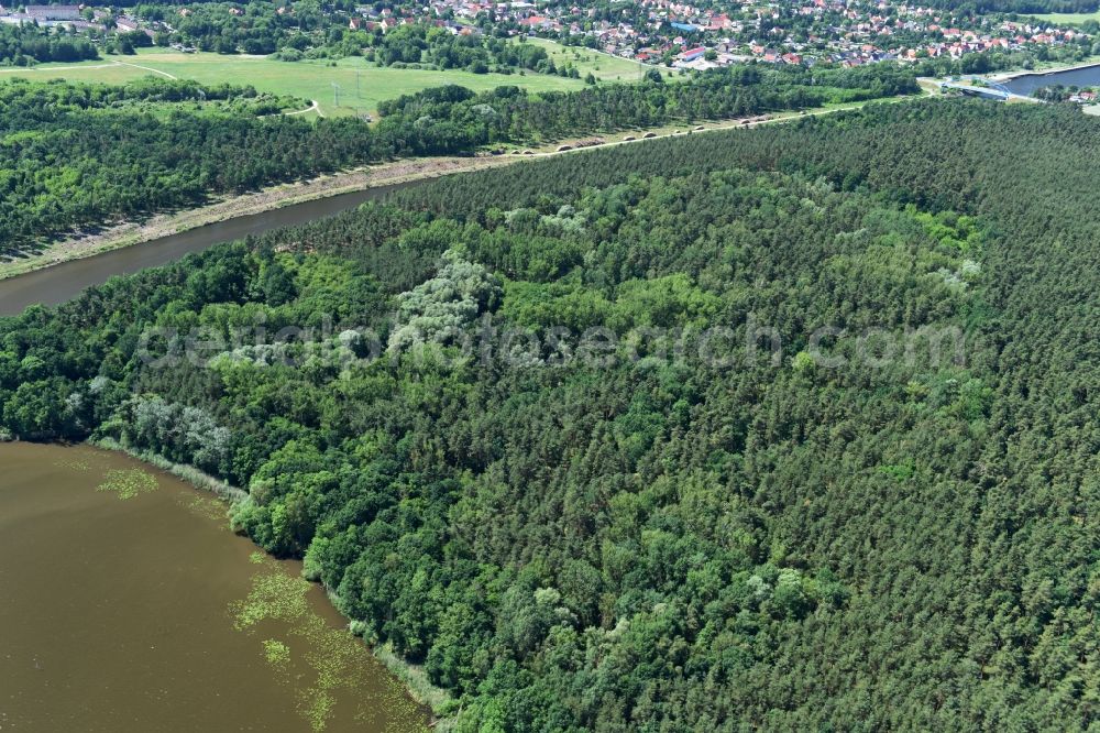 Bensdorf from the bird's eye view: Creation of habitat for the sand lizard in Bensdorf in the state Brandenburg