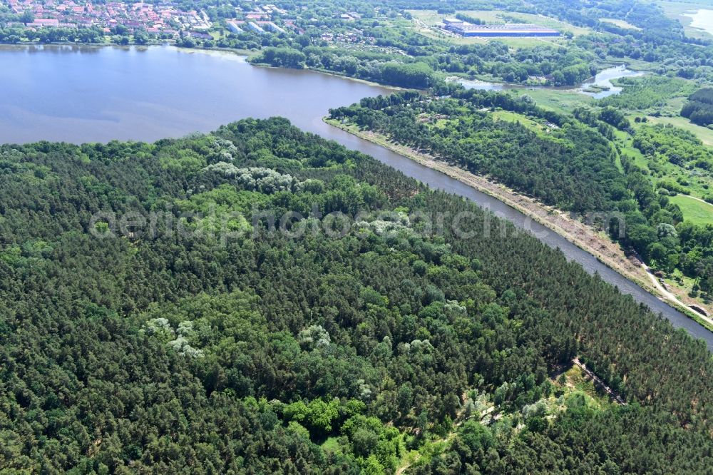 Aerial image Bensdorf - Creation of habitat for the sand lizard in Bensdorf in the state Brandenburg