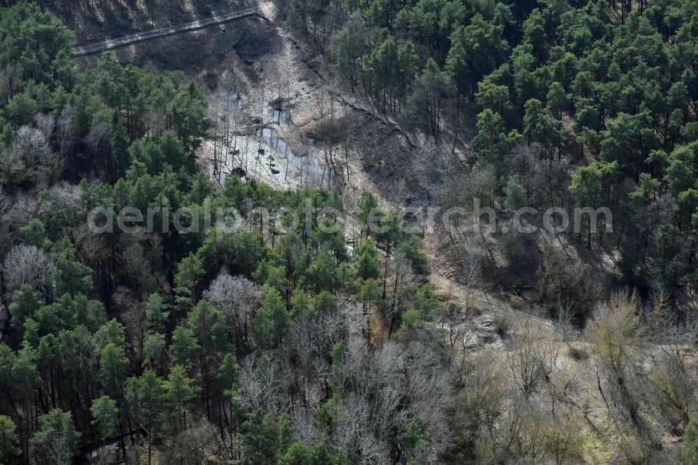 Aerial photograph Bensdorf - Creation of habitat for the sand lizard in Bensdorf in the state Brandenburg