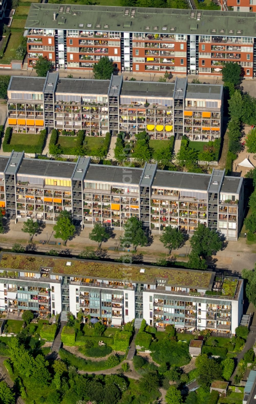 Duisburg from above - Skyscrapers in the residential area of industrially manufactured settlement in Duisburg in the state North Rhine-Westphalia