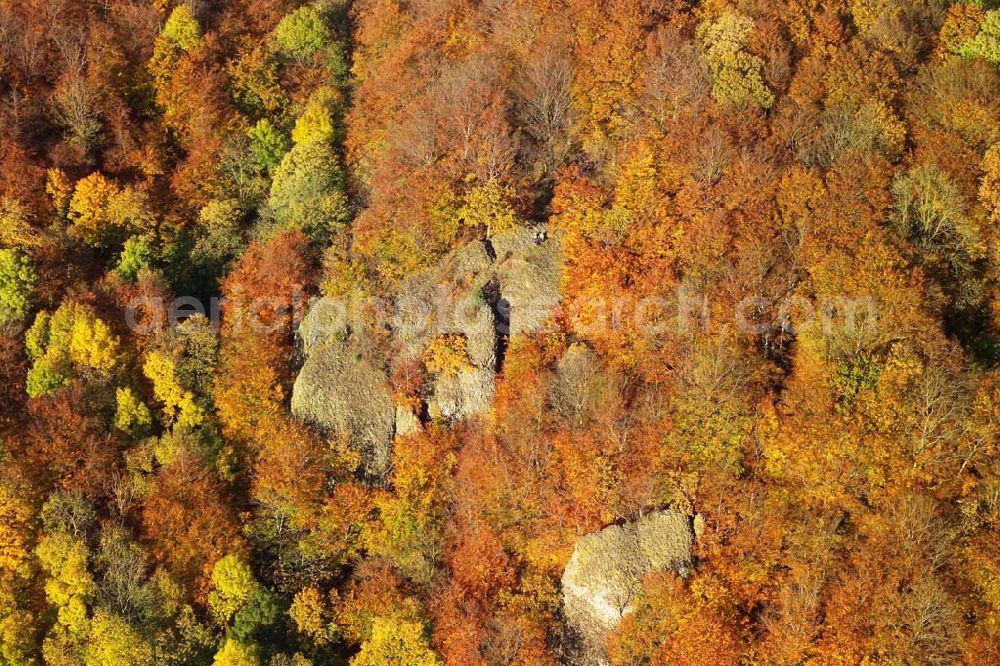 Aerial photograph Hofbieber - Ein Felsen im Herbstwald bei Hofbieber.